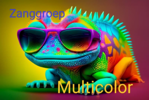 Zanggroep Multicolor @ Dorpshuis de Wiekslag | Wijdenes | Noord-Holland | Nederland
